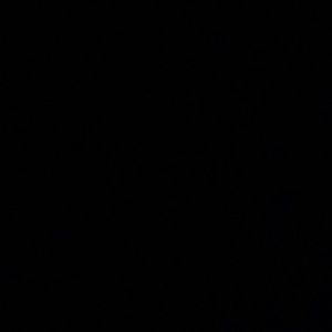 Meet your Posher, Travis